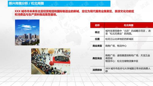 商業(yè)廣場(chǎng)招商運(yùn)營(yíng)及物業(yè)管理綜合解決方案.ppt