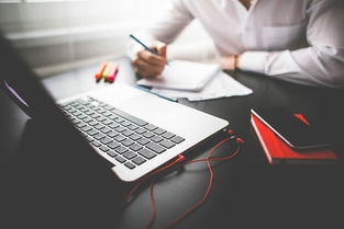 太全了 美國(guó)大學(xué)商業(yè)管理 自然科學(xué)等熱門專業(yè)解讀及就業(yè)前景分析