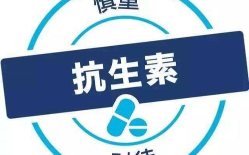 慢病界 廣州南雪醫(yī)療器械將亮相2019年第十屆中國慢病管理大會暨國際慢病管理論壇 慢病產(chǎn)業(yè)展