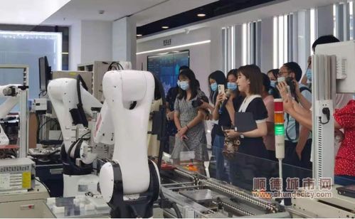 大良加快數字化轉型,促進創新要素向企業聚集