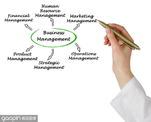 Diagram of Business Management