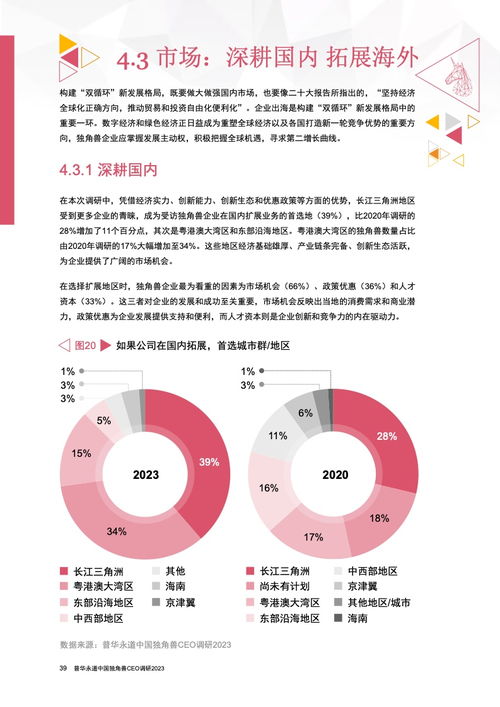 普華永道 中國(guó)獨(dú)角獸ceo調(diào)研2023