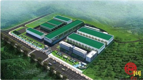 小地瓜做成大產(chǎn)業(yè) 記濟(jì)南薯立方商業(yè)管理宋章峰的創(chuàng)業(yè)之路