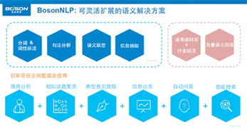 自然語義分析驅動大數據商業化 上海玻森的商業管理之道